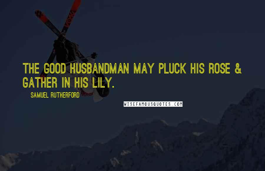 Samuel Rutherford Quotes: The good Husbandman may pluck His rose & gather in His lily.