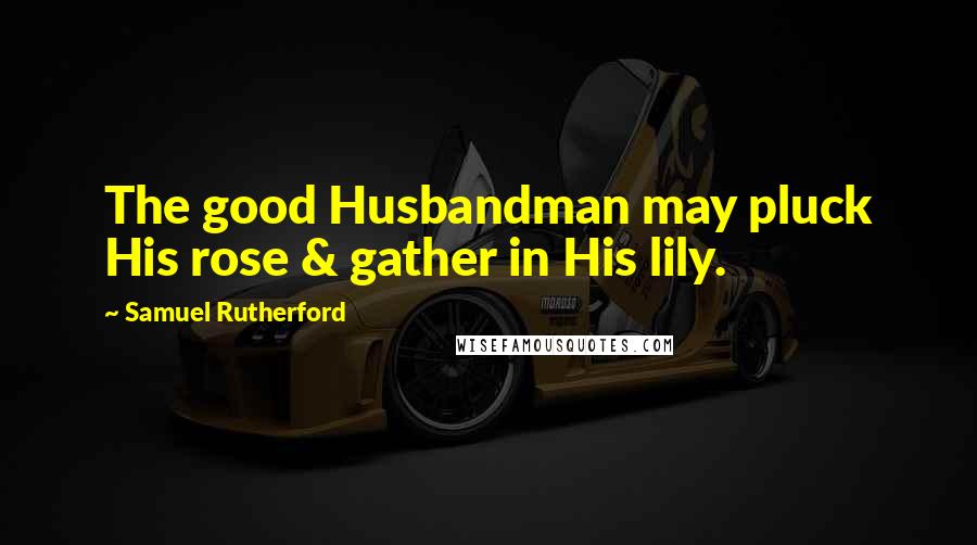 Samuel Rutherford Quotes: The good Husbandman may pluck His rose & gather in His lily.
