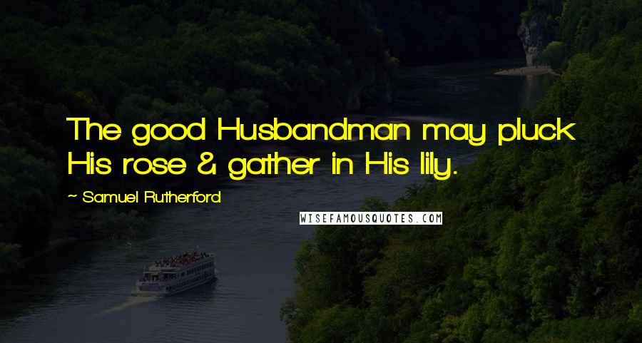 Samuel Rutherford Quotes: The good Husbandman may pluck His rose & gather in His lily.