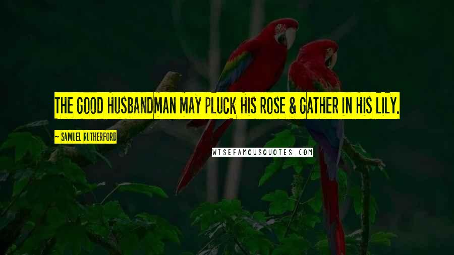 Samuel Rutherford Quotes: The good Husbandman may pluck His rose & gather in His lily.