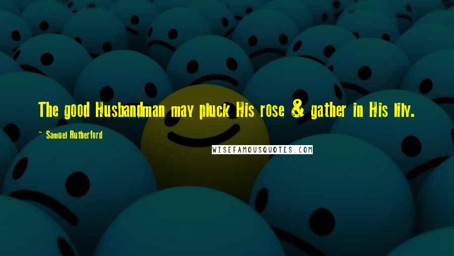 Samuel Rutherford Quotes: The good Husbandman may pluck His rose & gather in His lily.