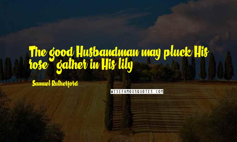 Samuel Rutherford Quotes: The good Husbandman may pluck His rose & gather in His lily.