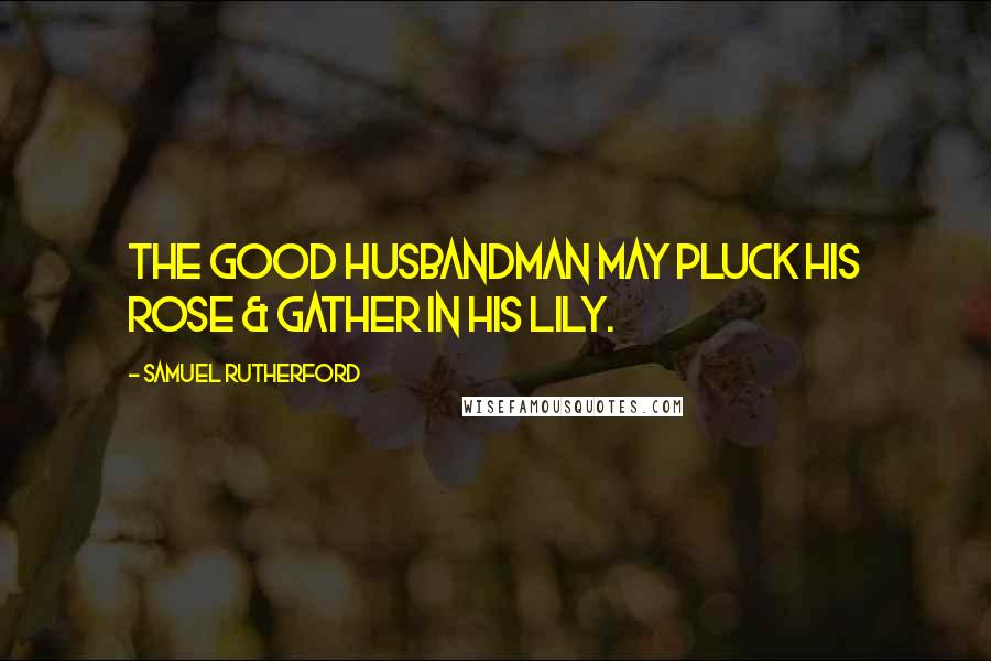 Samuel Rutherford Quotes: The good Husbandman may pluck His rose & gather in His lily.
