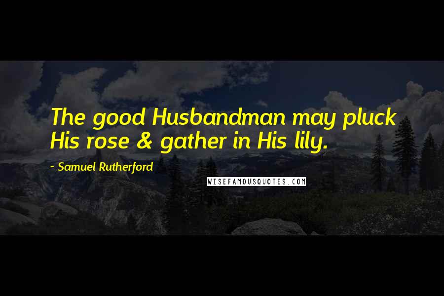 Samuel Rutherford Quotes: The good Husbandman may pluck His rose & gather in His lily.