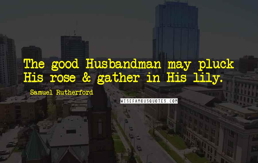 Samuel Rutherford Quotes: The good Husbandman may pluck His rose & gather in His lily.
