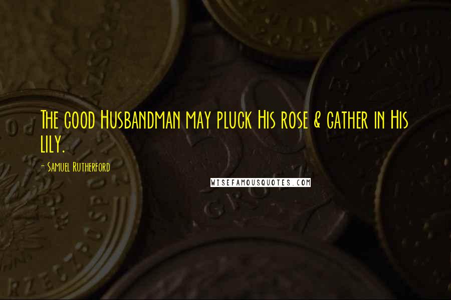 Samuel Rutherford Quotes: The good Husbandman may pluck His rose & gather in His lily.