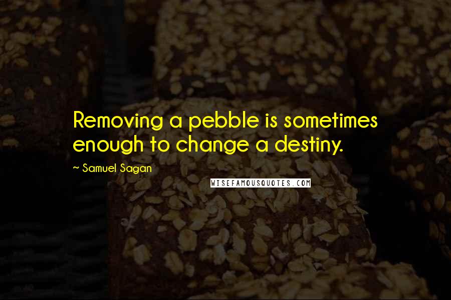 Samuel Sagan Quotes: Removing a pebble is sometimes enough to change a destiny.