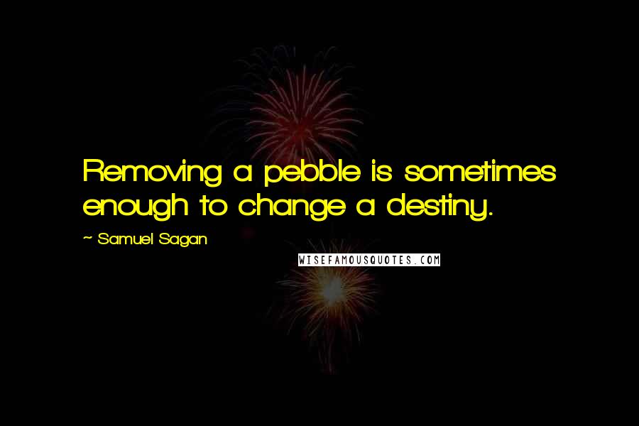 Samuel Sagan Quotes: Removing a pebble is sometimes enough to change a destiny.