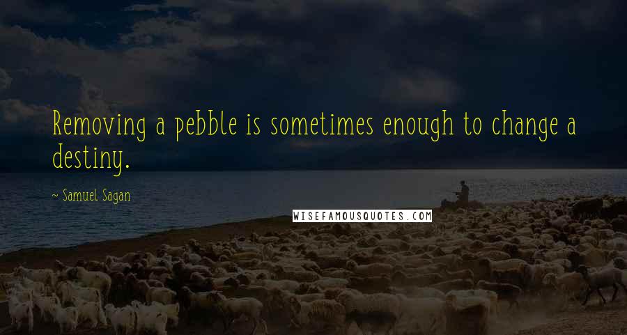 Samuel Sagan Quotes: Removing a pebble is sometimes enough to change a destiny.
