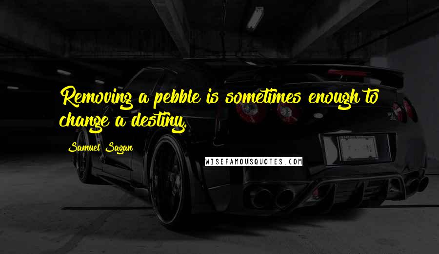 Samuel Sagan Quotes: Removing a pebble is sometimes enough to change a destiny.