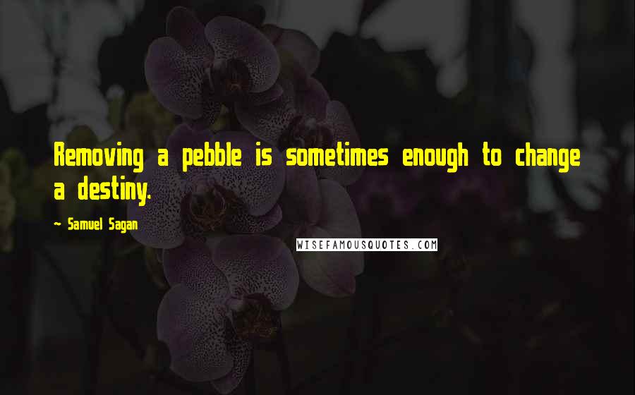 Samuel Sagan Quotes: Removing a pebble is sometimes enough to change a destiny.