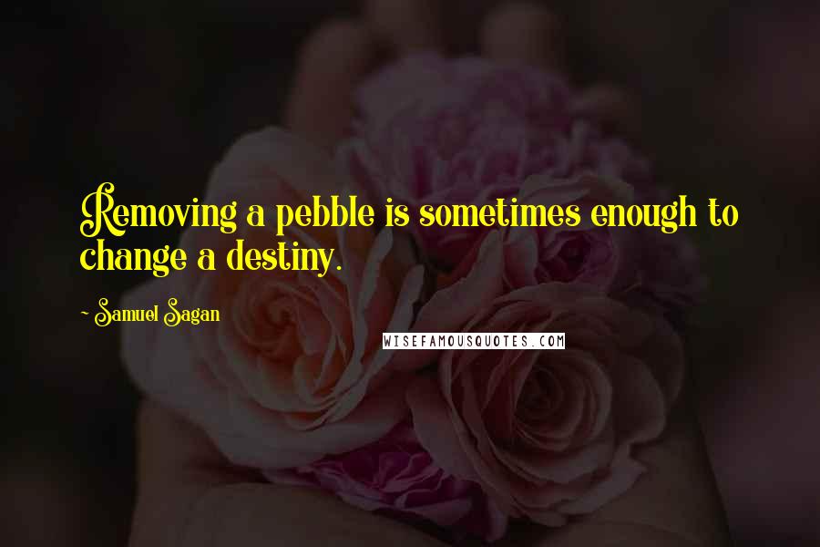 Samuel Sagan Quotes: Removing a pebble is sometimes enough to change a destiny.