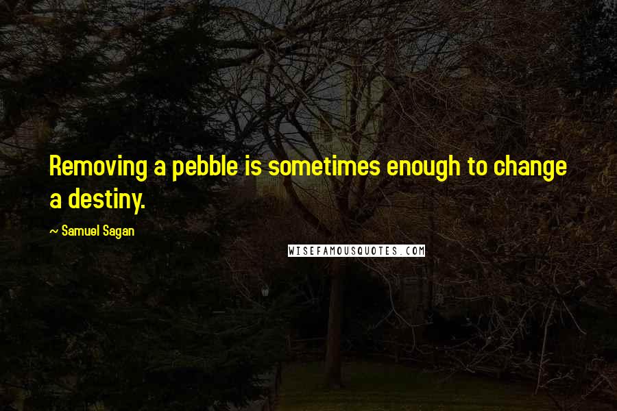 Samuel Sagan Quotes: Removing a pebble is sometimes enough to change a destiny.