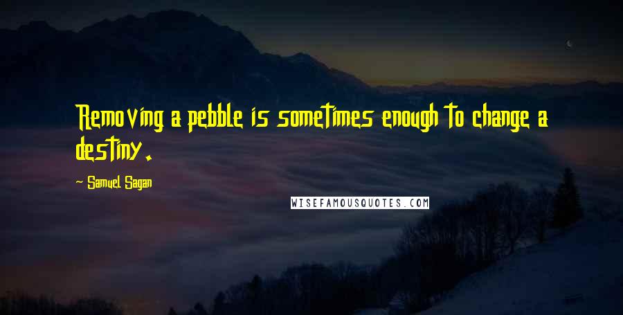 Samuel Sagan Quotes: Removing a pebble is sometimes enough to change a destiny.