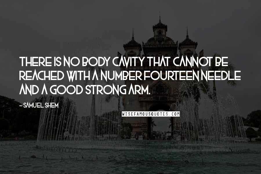 Samuel Shem Quotes: There is no body cavity that cannot be reached with a number fourteen needle and a good strong arm.