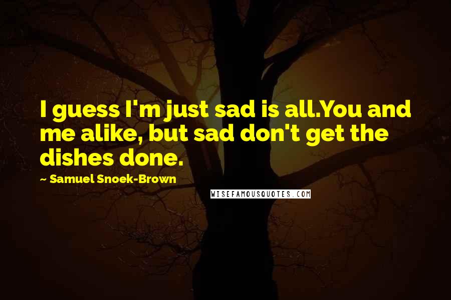 Samuel Snoek-Brown Quotes: I guess I'm just sad is all.You and me alike, but sad don't get the dishes done.