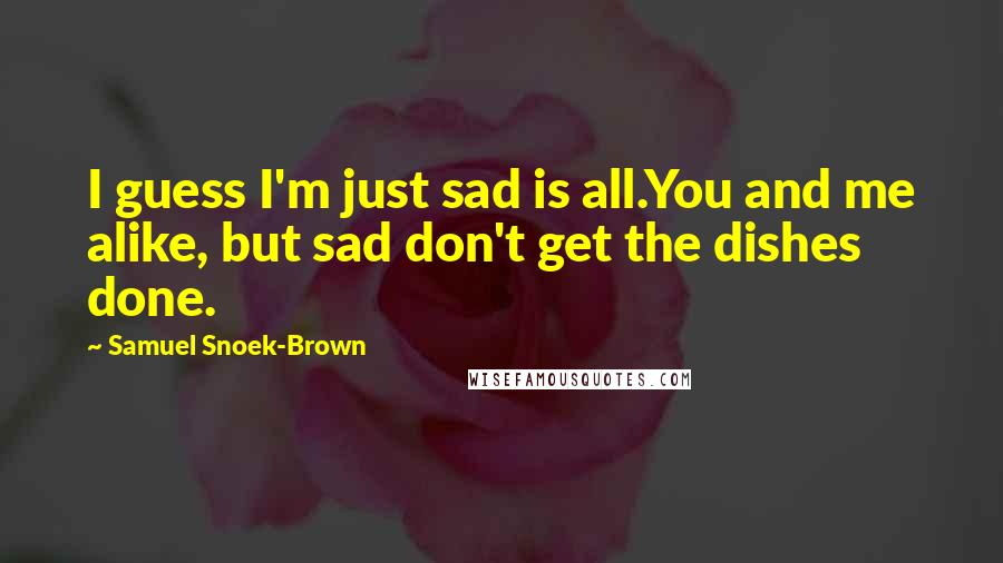 Samuel Snoek-Brown Quotes: I guess I'm just sad is all.You and me alike, but sad don't get the dishes done.