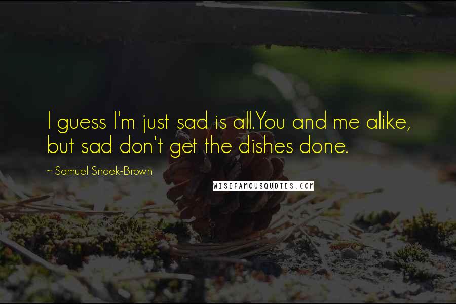 Samuel Snoek-Brown Quotes: I guess I'm just sad is all.You and me alike, but sad don't get the dishes done.