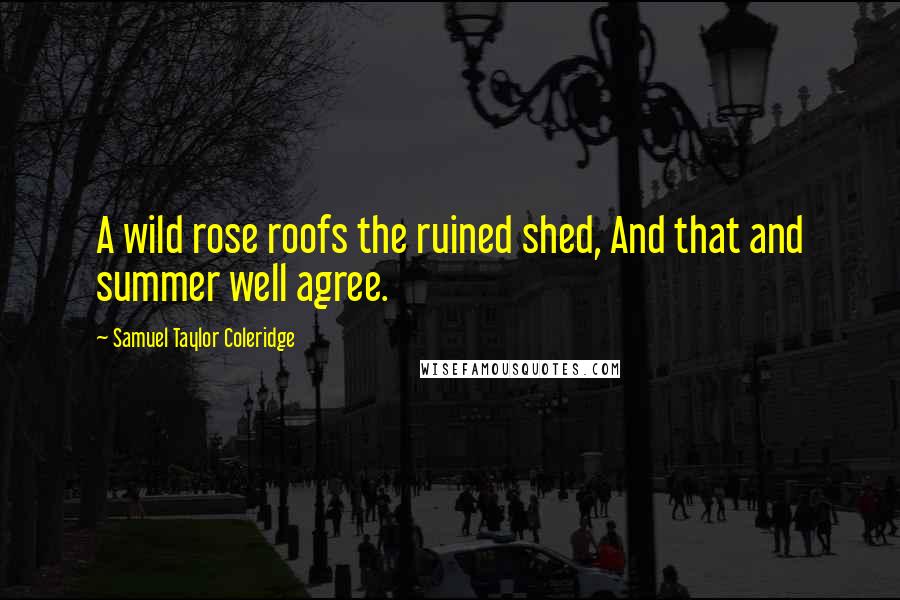 Samuel Taylor Coleridge Quotes: A wild rose roofs the ruined shed, And that and summer well agree.