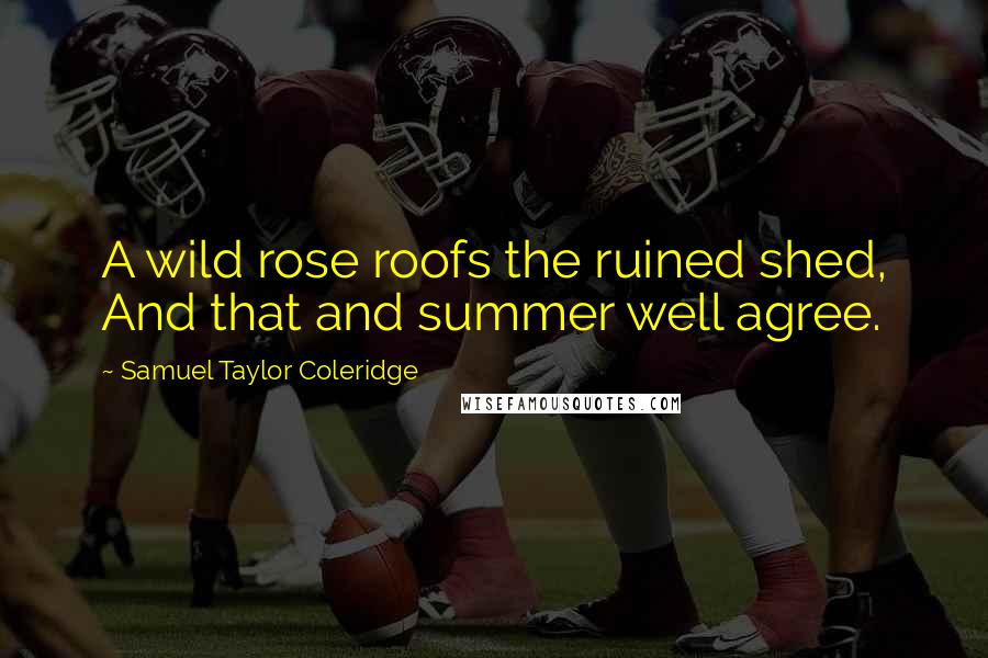 Samuel Taylor Coleridge Quotes: A wild rose roofs the ruined shed, And that and summer well agree.