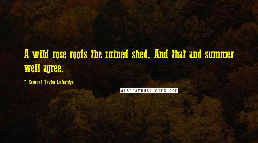 Samuel Taylor Coleridge Quotes: A wild rose roofs the ruined shed, And that and summer well agree.