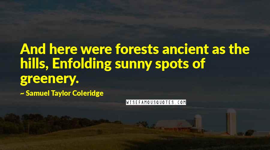 Samuel Taylor Coleridge Quotes: And here were forests ancient as the hills, Enfolding sunny spots of greenery.