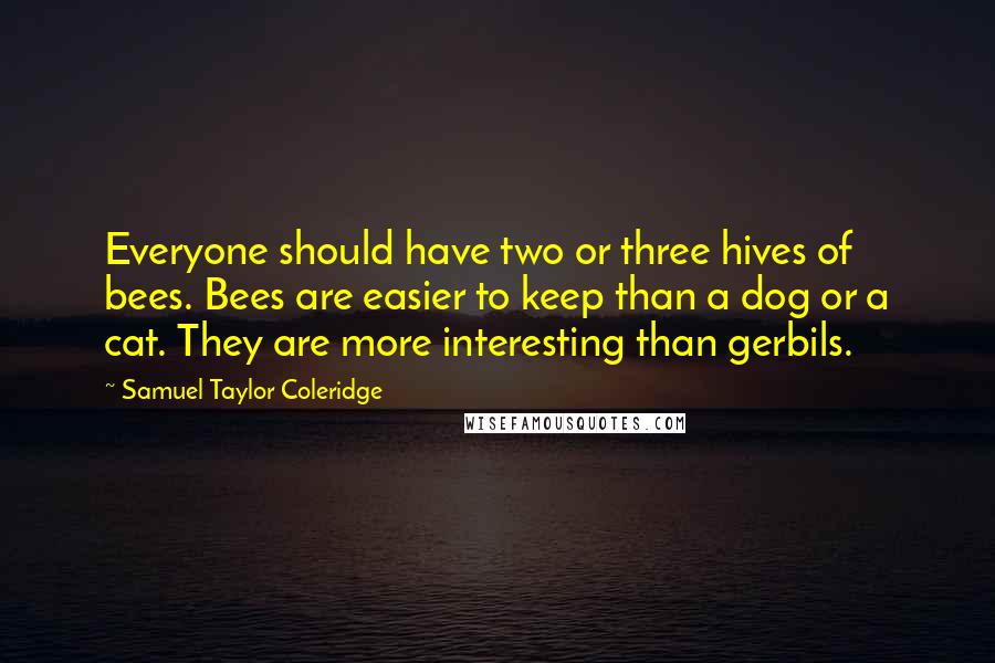 Samuel Taylor Coleridge Quotes: Everyone should have two or three hives of bees. Bees are easier to keep than a dog or a cat. They are more interesting than gerbils.