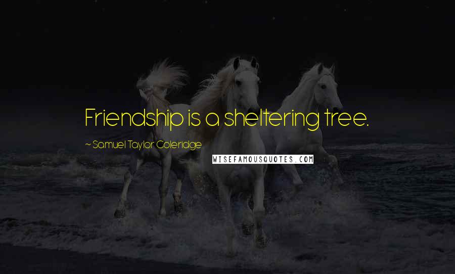 Samuel Taylor Coleridge Quotes: Friendship is a sheltering tree.