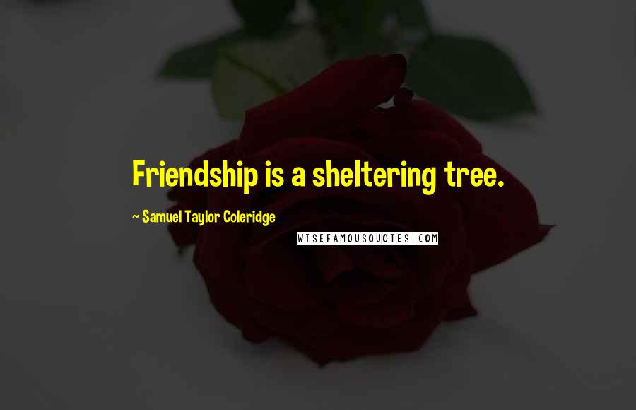Samuel Taylor Coleridge Quotes: Friendship is a sheltering tree.