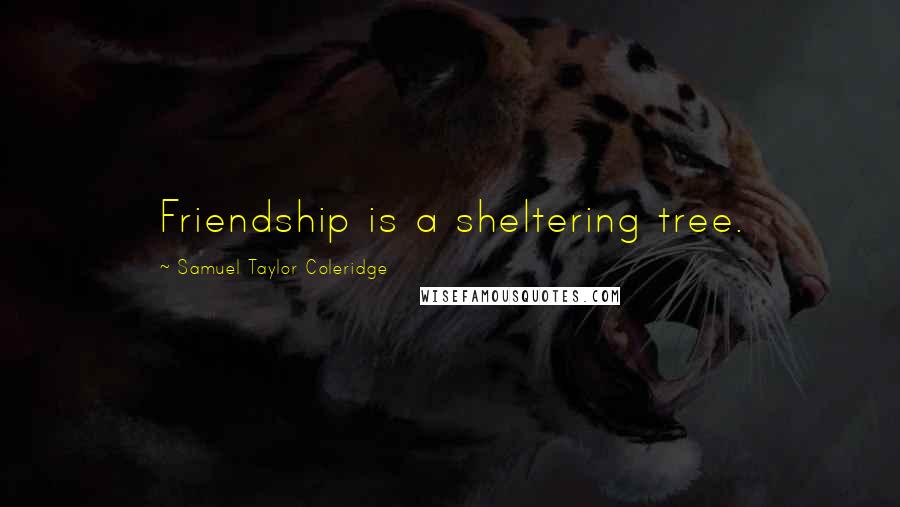 Samuel Taylor Coleridge Quotes: Friendship is a sheltering tree.