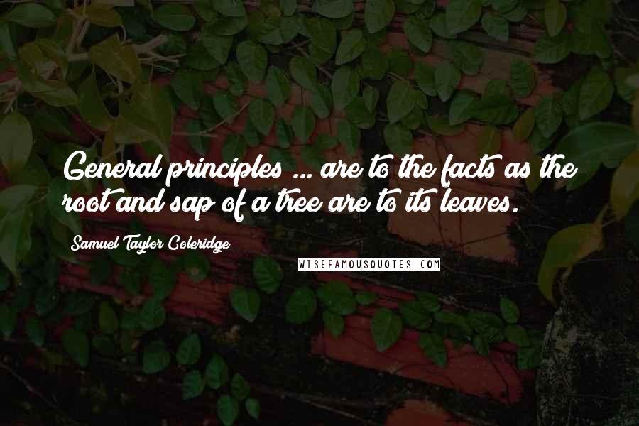 Samuel Taylor Coleridge Quotes: General principles ... are to the facts as the root and sap of a tree are to its leaves.