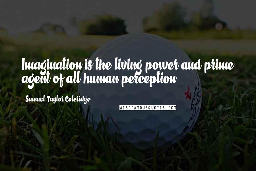 Samuel Taylor Coleridge Quotes: Imagination is the living power and prime agent of all human perception.