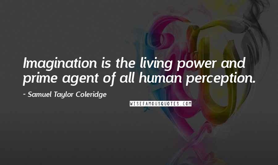 Samuel Taylor Coleridge Quotes: Imagination is the living power and prime agent of all human perception.