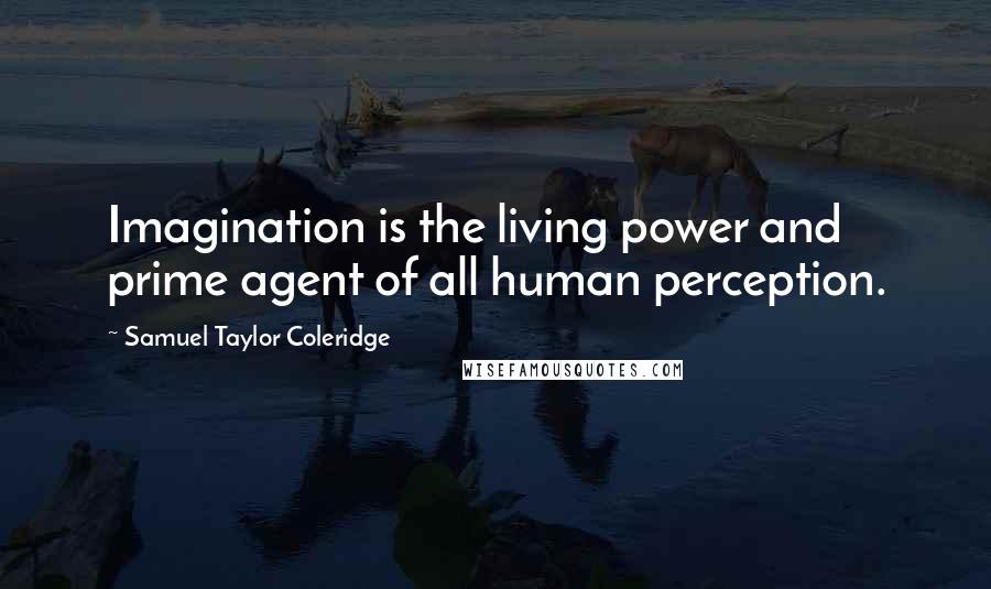 Samuel Taylor Coleridge Quotes: Imagination is the living power and prime agent of all human perception.