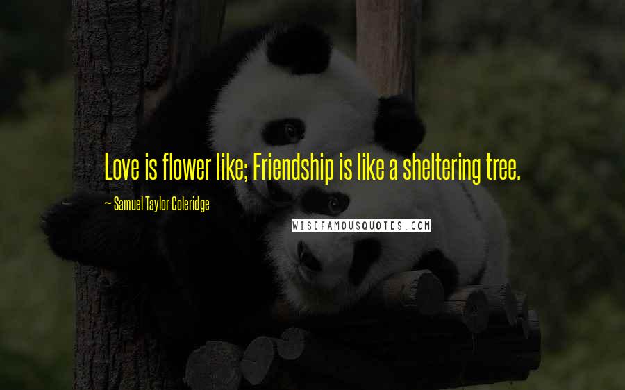 Samuel Taylor Coleridge Quotes: Love is flower like; Friendship is like a sheltering tree.