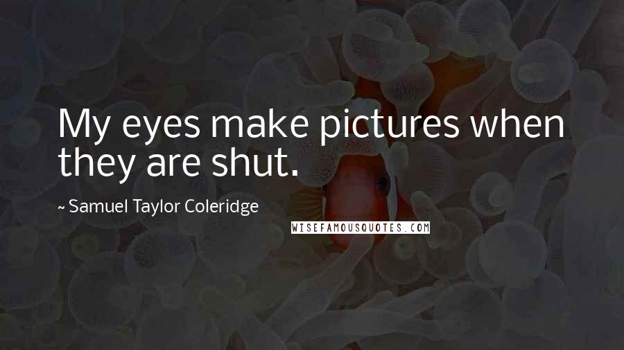 Samuel Taylor Coleridge Quotes: My eyes make pictures when they are shut.