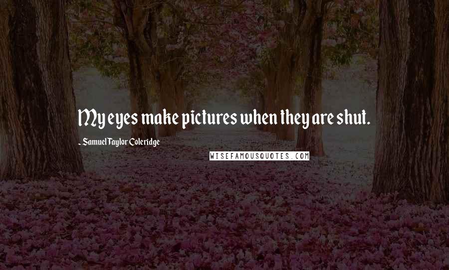 Samuel Taylor Coleridge Quotes: My eyes make pictures when they are shut.