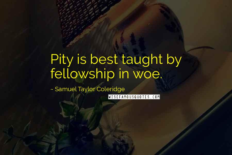 Samuel Taylor Coleridge Quotes: Pity is best taught by fellowship in woe.
