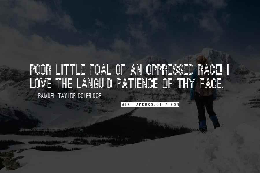 Samuel Taylor Coleridge Quotes: Poor little Foal of an oppressed race! I love the languid patience of thy face.
