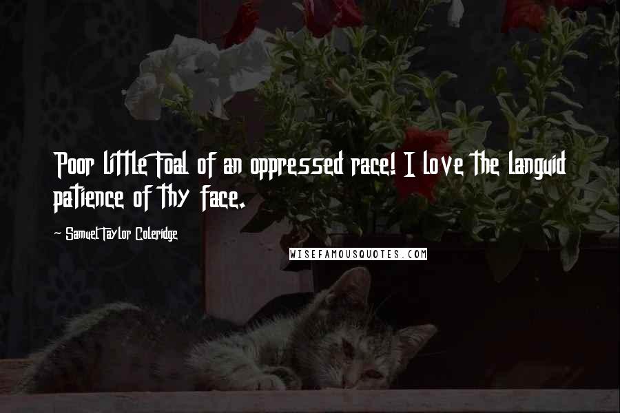 Samuel Taylor Coleridge Quotes: Poor little Foal of an oppressed race! I love the languid patience of thy face.