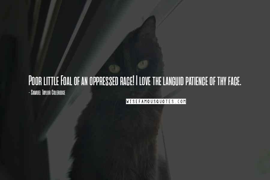 Samuel Taylor Coleridge Quotes: Poor little Foal of an oppressed race! I love the languid patience of thy face.