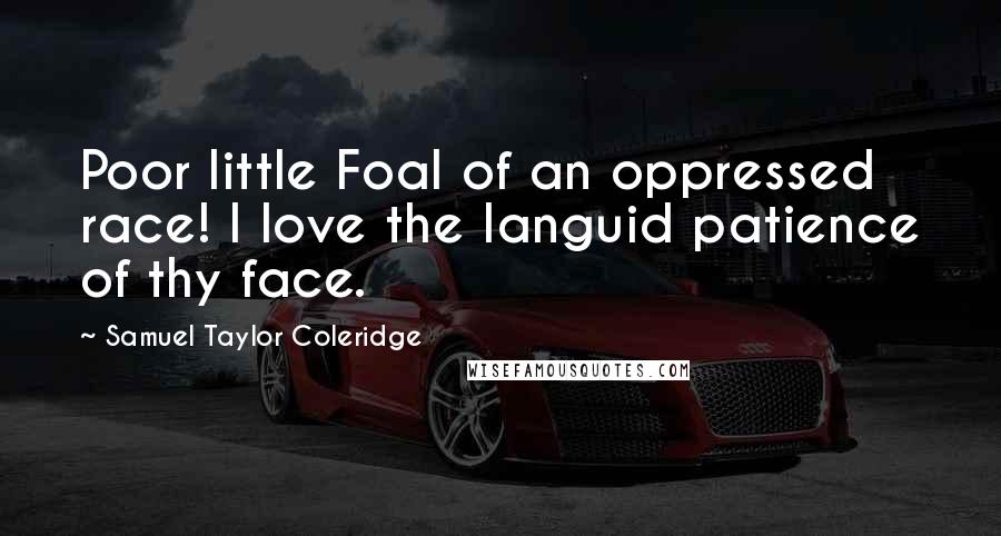 Samuel Taylor Coleridge Quotes: Poor little Foal of an oppressed race! I love the languid patience of thy face.