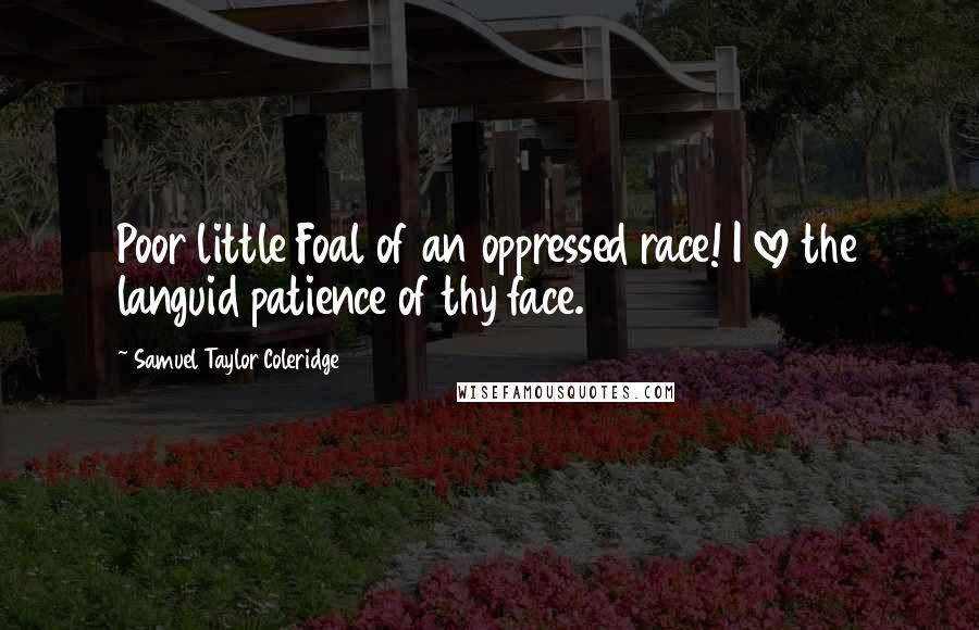 Samuel Taylor Coleridge Quotes: Poor little Foal of an oppressed race! I love the languid patience of thy face.