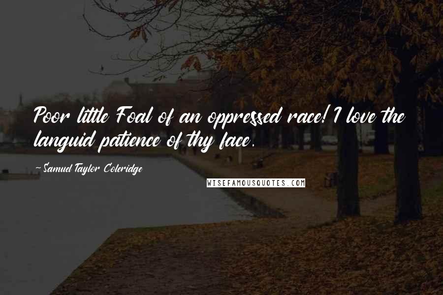 Samuel Taylor Coleridge Quotes: Poor little Foal of an oppressed race! I love the languid patience of thy face.