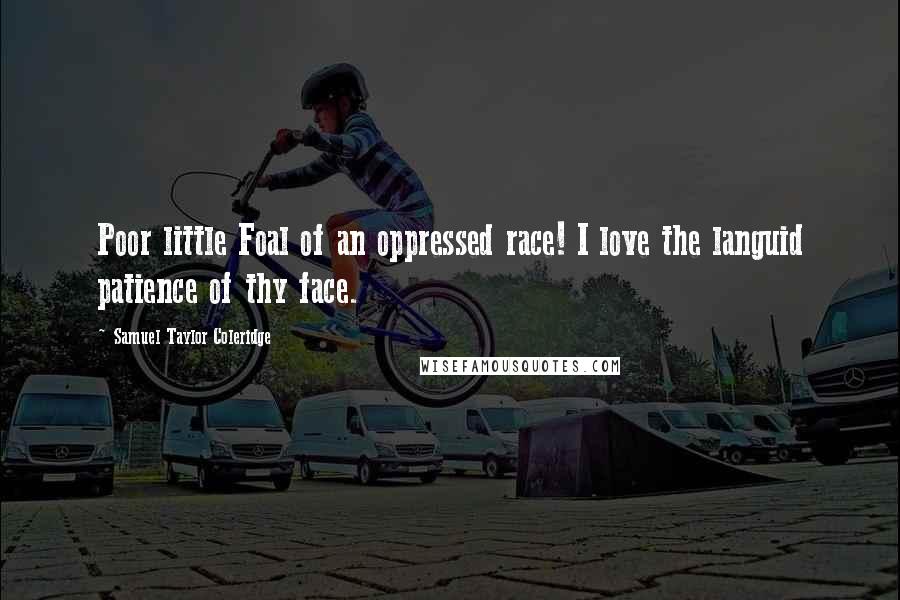 Samuel Taylor Coleridge Quotes: Poor little Foal of an oppressed race! I love the languid patience of thy face.