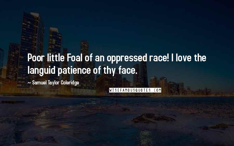 Samuel Taylor Coleridge Quotes: Poor little Foal of an oppressed race! I love the languid patience of thy face.