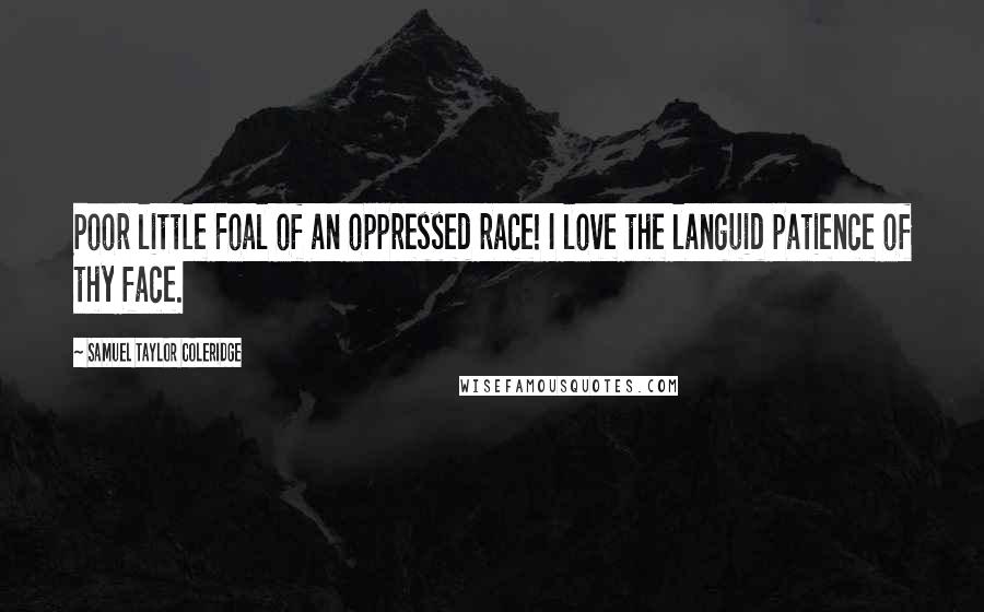Samuel Taylor Coleridge Quotes: Poor little Foal of an oppressed race! I love the languid patience of thy face.