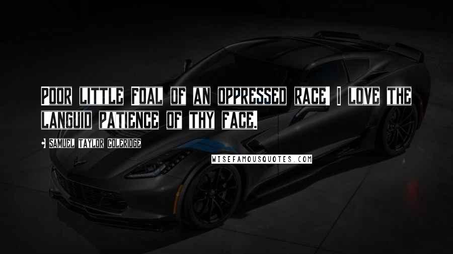 Samuel Taylor Coleridge Quotes: Poor little Foal of an oppressed race! I love the languid patience of thy face.