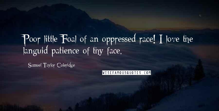 Samuel Taylor Coleridge Quotes: Poor little Foal of an oppressed race! I love the languid patience of thy face.