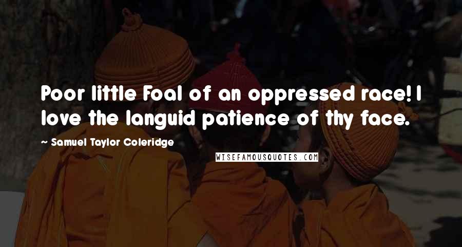 Samuel Taylor Coleridge Quotes: Poor little Foal of an oppressed race! I love the languid patience of thy face.